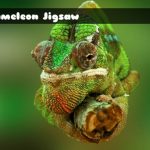 Chameleon Jigsaw